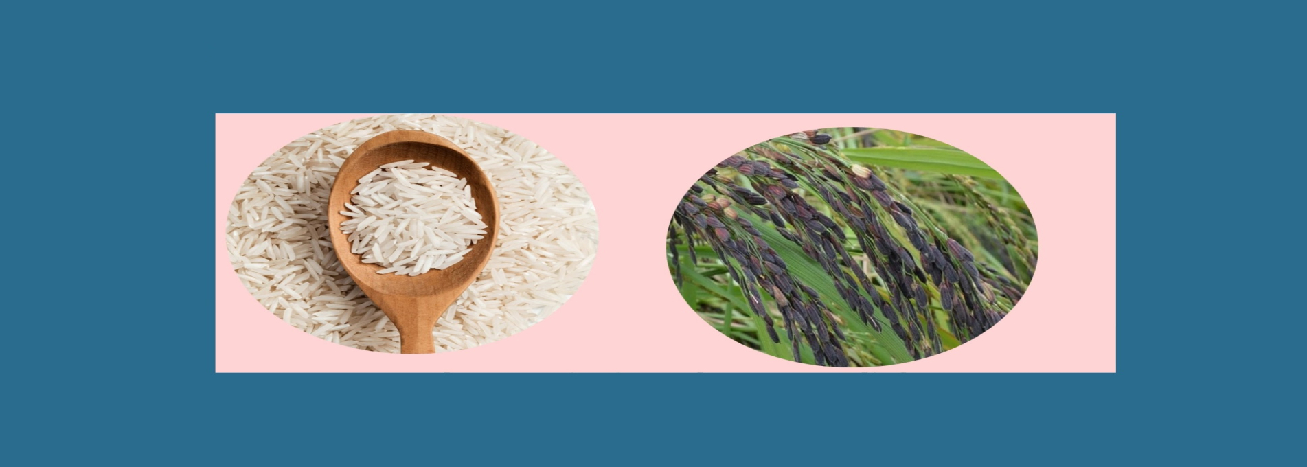 Nuapada Nutri Rice Cluster